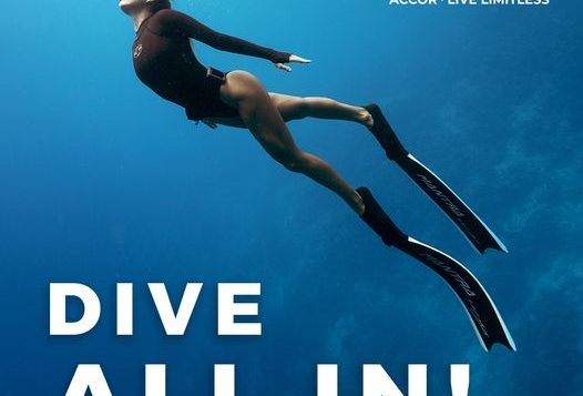 dive-all-in-2-2