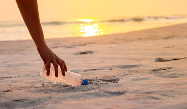 hand-woman-picking-up-plastic-bottle-cleaning-on-the-beach-volunteer-concept-2