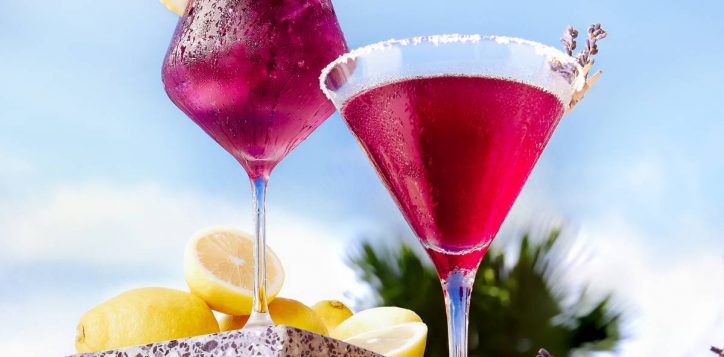 lavender-cocktail-1x1-2