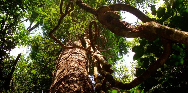 phu-quoc-national-park-2